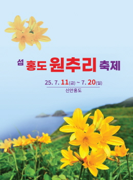 배너